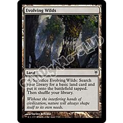33 / 80 Evolving Wilds comune (EN) -NEAR MINT-