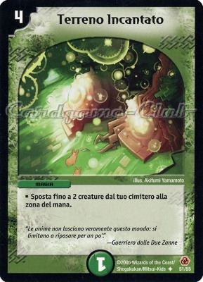 DM-05 Sopravvissuti dell'Immane Apocalisse 51/55 Terreno Incantato non comune -NEAR MINT-