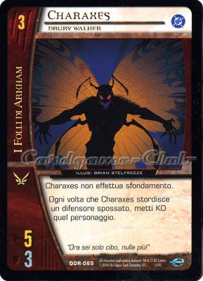 DOR-065 Charaxes comune -NEAR MINT-