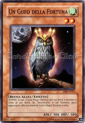 DR1-IT021 Un Gufo della Fortuna comune (IT) -NEAR MINT-