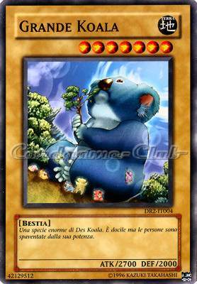 DR2-IT004 Grande Koala comune (IT) -GOOD-