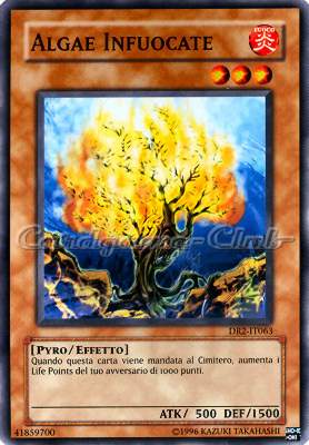 DR2-IT063 Algae Infuocate comune (IT) -NEAR MINT-