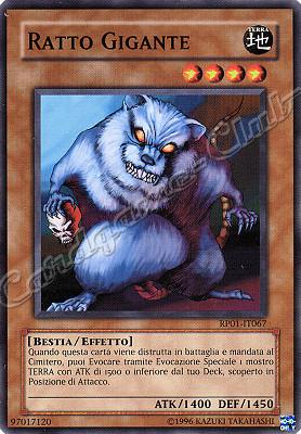 RP01-IT067 Ratto Gigante comune (IT)  -GOOD-