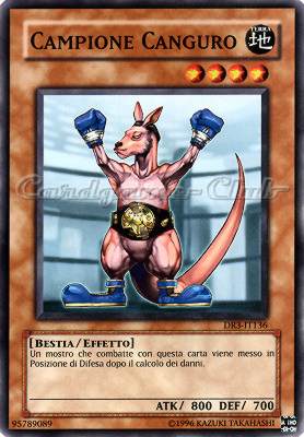 DR3-IT136 Campione Canguro comune (IT) -NEAR MINT-