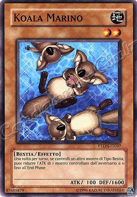 PTDN-IT037 Koala Marino comune Unlimited (IT) -NEAR MINT-