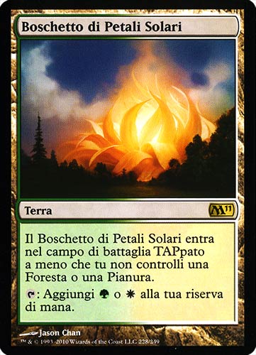 228 / 249 Boschetto di Petali Solari rara (IT) -NEAR MINT-