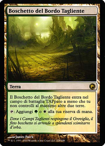 228 / 249 Boschetto del Bordo Tagliente rara (IT) -NEAR MINT-