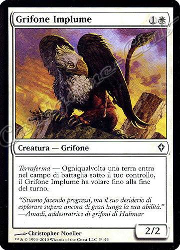 005 / 145 Grifone Implume comune (IT) -NEAR MINT-
