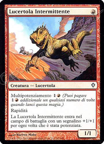 091 / 145 Lucertola Intermittente comune (IT) -NEAR MINT-