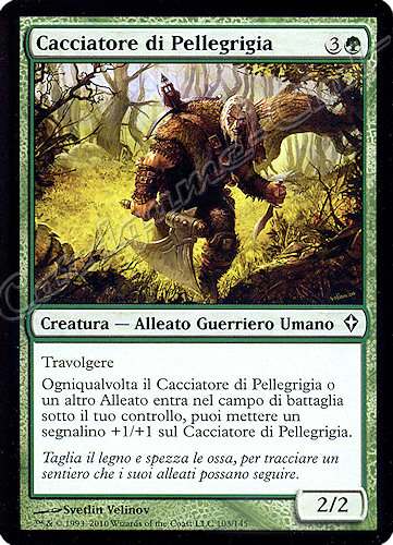 103 / 145 Cacciatore di Pellegrigia comune (IT) -NEAR MINT-