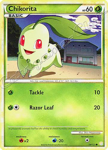 059 / 123 Chikorita comune (EN) -NEAR MINT-