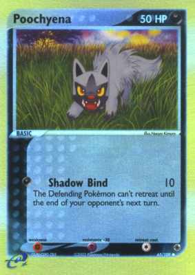 065 / 109 Poochyena H-12 comune foil reverse (EN) -NEAR MINT-