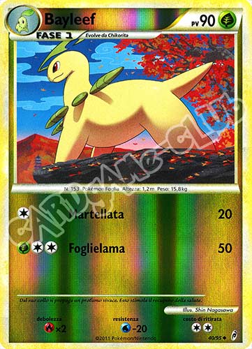 40 / 95 Bayleef non comune foil reverse (IT) -NEAR MINT-
