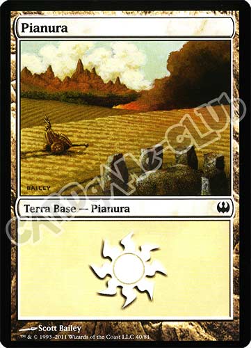 40 / 81 Pianura comune (IT) -NEAR MINT-