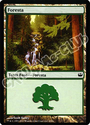 43 / 81 Foresta comune (IT) -NEAR MINT-