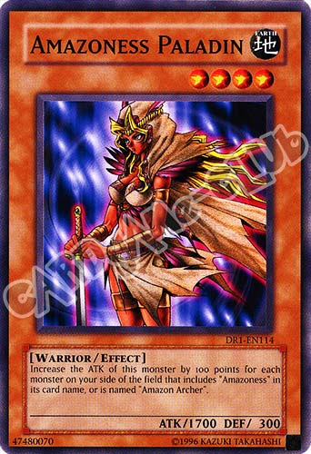 DR1-EN114 Amazoness Paladin comune (EN) -NEAR MINT-