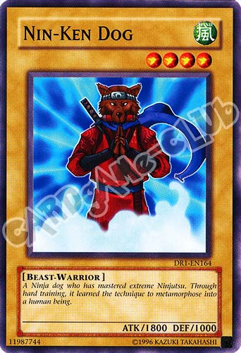 DR1-EN164 Nin-Ken Dog comune (EN) -NEAR MINT-