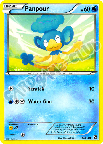 033 / 114 Panpour comune (EN) -NEAR MINT-