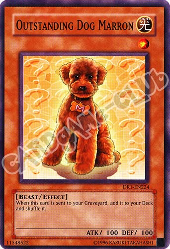 DR1-EN224 Outstanding Dog Marron comune (EN) -NEAR MINT-