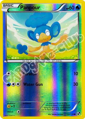 033 / 114 Panpour comune foil reverse (EN) -NEAR MINT-