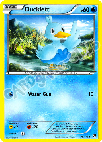 036 / 114 Ducklett comune (EN) -NEAR MINT-