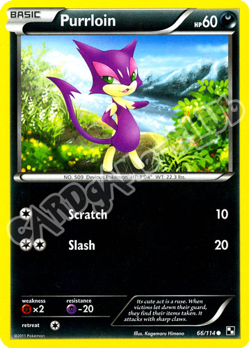 066 / 114 Purrloin comune (EN) -NEAR MINT-