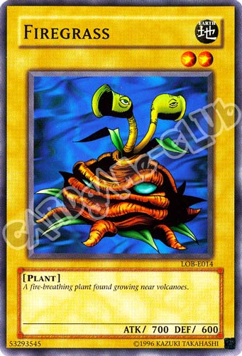 LOB-E014 Firegrass comune Unlimited (EN)