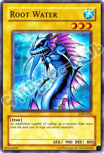 LOB-E026 Root Water comune Unlimited (EN)