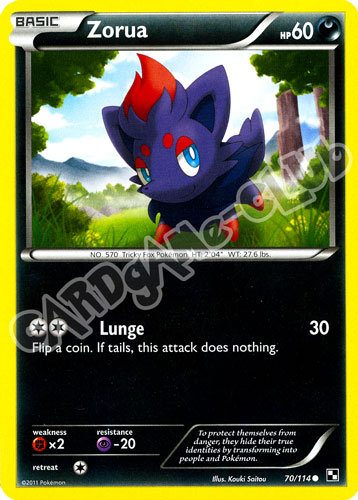 070 / 114 Zorua comune (EN) -NEAR MINT-