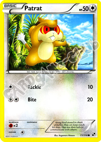 077 / 114 Patrat comune (EN) -NEAR MINT-