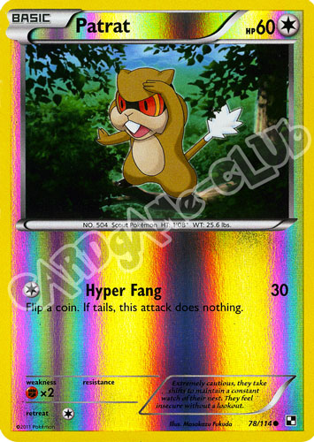 078 / 114 Patrat comune foil reverse (EN) -NEAR MINT-