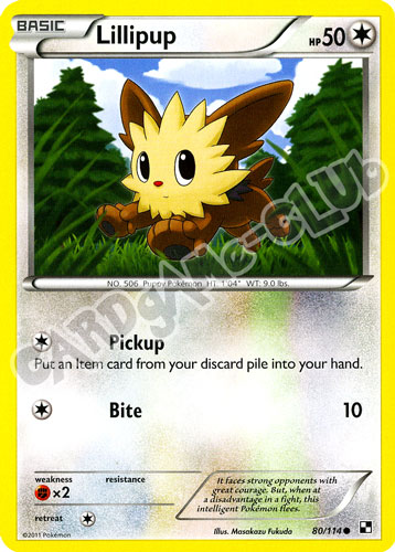 080 / 114 Lillipup comune (EN) -NEAR MINT-
