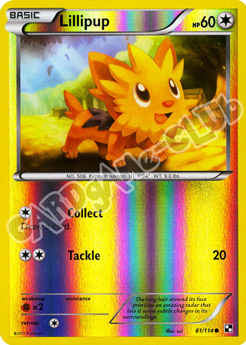 081 / 114 Lillipup comune foil reverse (EN) -NEAR MINT-