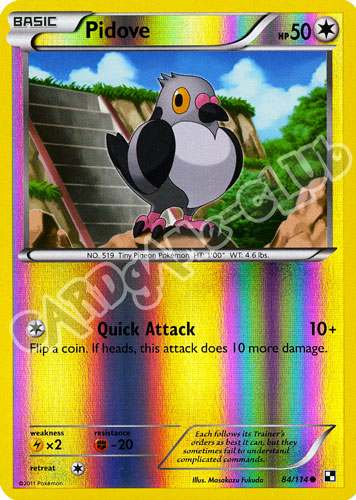 084 / 114 Pidove comune foil reverse (EN) -NEAR MINT-