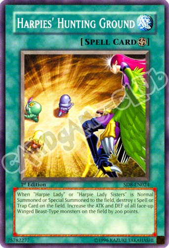 SD8-EN024 Harpies' Hunting Ground comune 1st Edition (EN) -NEAR MINT-