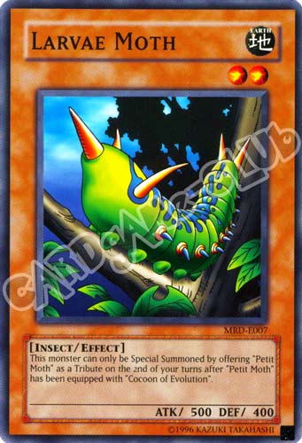 MRD-E007 Larvae Moth comune Unlimited (EN)