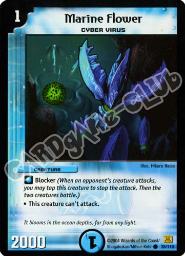 035/110 Marine Flower comune (EN) -NEAR MINT-