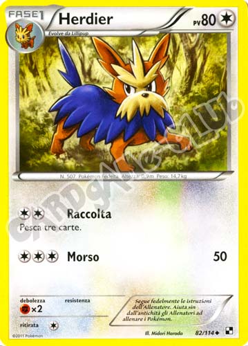 082 / 114 Herdier non comune (IT) -NEAR MINT-