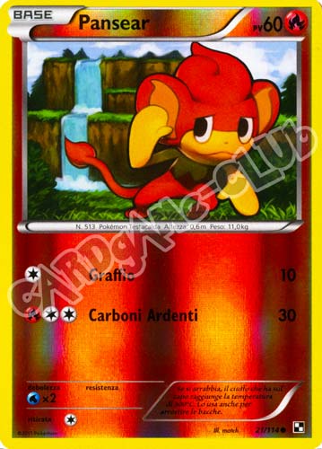 021 / 114 Pansear comune foil reverse (IT) -NEAR MINT-