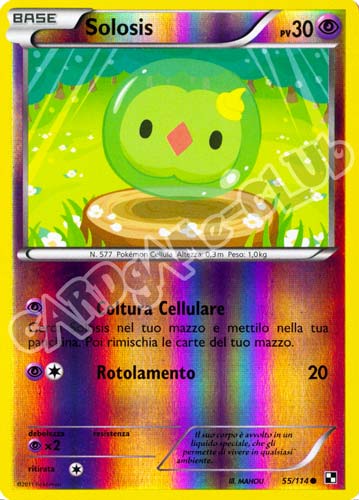 055 / 114 Solosis comune foil reverse (IT) -NEAR MINT-