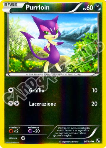 066 / 114 Purrloin comune foil reverse (IT) -NEAR MINT-
