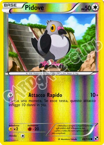 084 / 114 Pidove comune foil reverse (IT) -NEAR MINT-