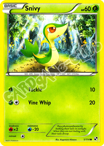 001 / 114 Snivy comune (EN) -NEAR MINT-