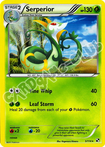 005 / 114 Serperior rara foil (EN) -NEAR MINT-
