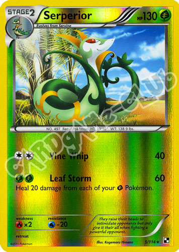005 / 114 Serperior rara foil reverse (EN) -NEAR MINT-