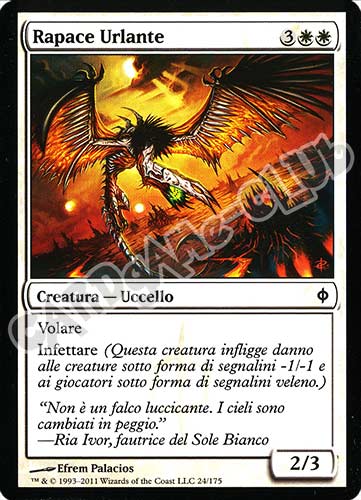 024 / 175 Rapace Urlante comune (IT) -NEAR MINT-