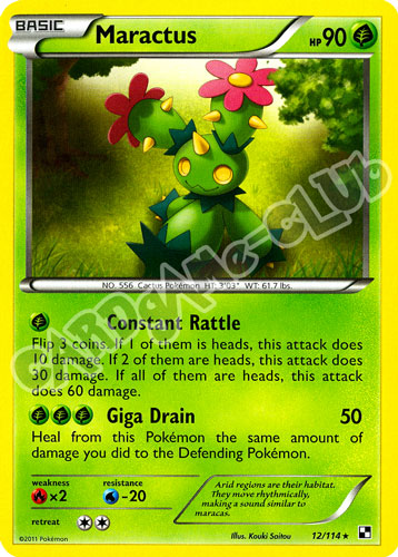 012 / 114 Maractus rara (EN) -NEAR MINT-