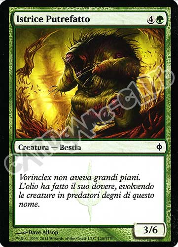 120 / 175 Istrice Putrefatto comune (IT) -NEAR MINT-