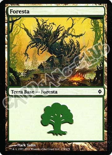 174 / 175 Foresta comune (IT) -NEAR MINT-