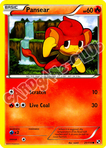 021 / 114 Pansear comune (EN) -NEAR MINT-